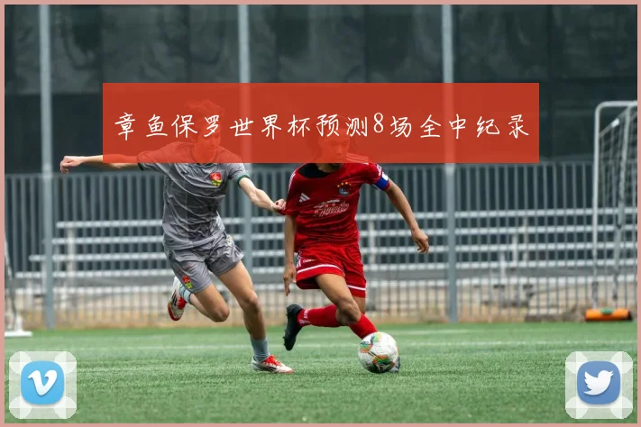 章鱼保罗世界杯预测8场全中纪录