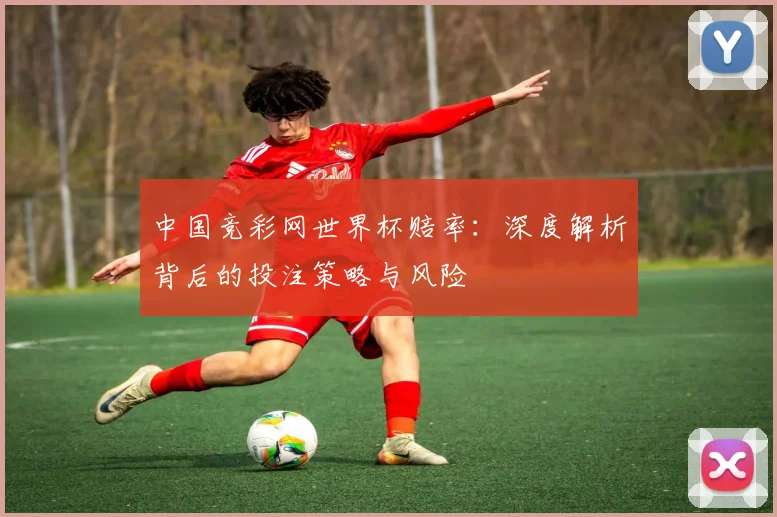中国竞彩网世界杯赔率:深度解析背后的投注策略与风险