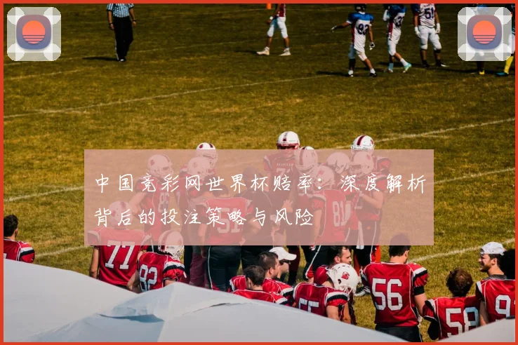 中国竞彩网世界杯赔率:深度解析背后的投注策略与风险