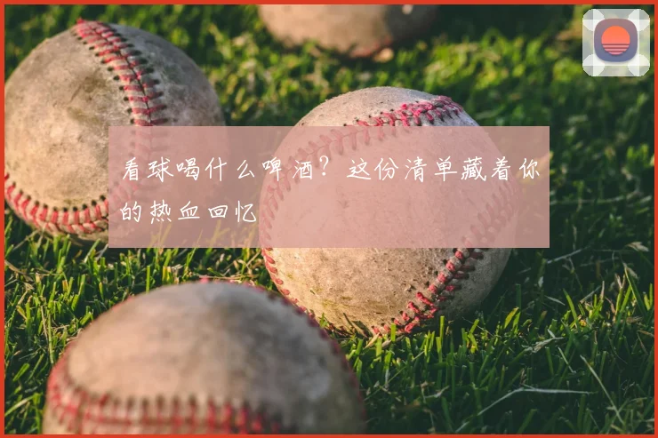 看球喝什么啤酒?这份清单藏着你的热血回忆