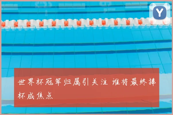世界杯冠军归属引关注 谁将最终捧杯成焦点