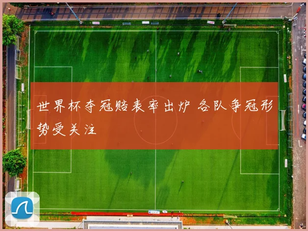 世界杯夺冠赔表率出炉 各队争冠形势受关注