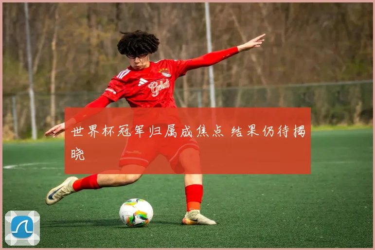 世界杯冠军归属成焦点 结果仍待揭晓