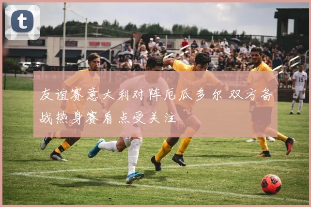 友谊赛意大利对阵厄瓜多尔 双方备战热身赛看点受关注