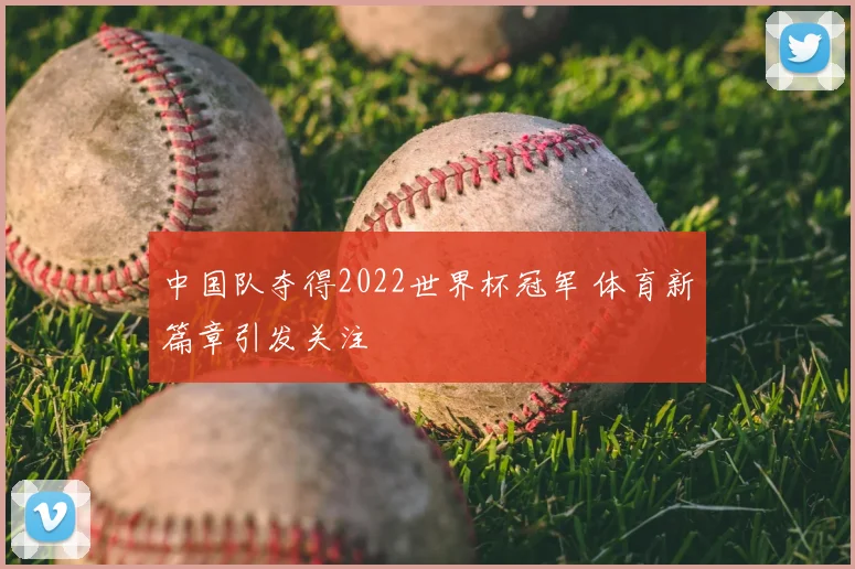中国队夺得2022世界杯冠军 体育新篇章引发关注